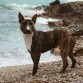 en la playita que le encanta!