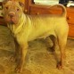 Nuestro peluchin Rainbow. Busco novia en Málaga. 