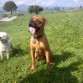 con 8 meses y medio
