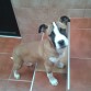 5 meses