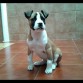 2 meses