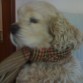 Ponte la bufanda que hace frio.