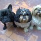 los 3 juntitos!!