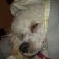 mi bebe haciendose el dormido