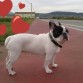 esperando a su amor
