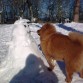 sukka jugando con un muñeco de nieve