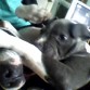 jugando con mi hermanito