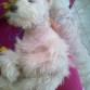 duerme temprano