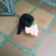 maxX JUGANDO CN SU PELUCHE