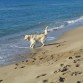 En la playa de Calafell