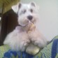 le encantan los dulces