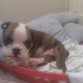 ella duerme todo el tempo 