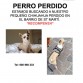 AVISO IMPORTANTE! 
Robado Barcelona, playa.-15.12.2015- a las 19h!
Acaban de robar el perrito de una amiga.Chihuahua macho!
Lo han dejado por 3 min en coche,para hacer un recado y han roto la ventana y se lo llevaron! 
Porfavor,si lo veis o veis algun anuncio relacionado con el o cualquera pista, llama a estos telefonos
671 055 686
600 960 233
Y si lo veis a la calle,llamad a la policía Esta la denuncia puesta.
Porfavor,maxima difusión esta la familia destrozada!