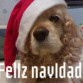 Feliz navidad! ( hace 3-4 años por lo menos! ;P )