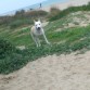 le encanta la playa en invierno