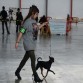 Exposición canina Vilafranca del Penedès 2011
Viel de Caprichitos
Clase Joven: EXC 1º - Mejor de Raza