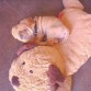Con uno de sus peluches .