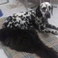 los 2 en la cama