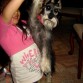 rommel precioso
