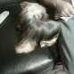 ANDY