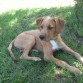 5 meses