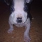 Bayron!!El nuevo miembro de la familia :)