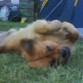 Mi bebito posando para la foto (? =) 