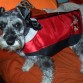 ATENTA A TODO