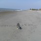 EN LA PLAYA DE JAMBELI - EL ORO