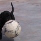 Jugando con un balon que es mas grande que ella.