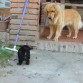 Jugando
