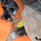CON MUCHO FRIO