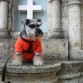 EN BIBLIAN - DOMINGO 23 DE DICIEMBRE DEL 2012
