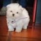 Junio 2012 ♥ 2 meses la pequeñita.