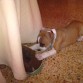 Jugando