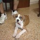 Con cara de capuyo