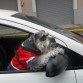 LISTA PARA EL PASEO - DOMINGO 9 DE DICIEMBRE DEL 2012