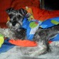 TRANQUILA Y SERENA EN LA CASA