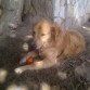 Jugando en la playa