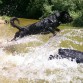 En el río pescando truchas :-D 