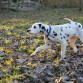 De paseo por el parque con 4 meses