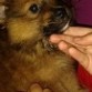 TRES MESES
