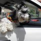 AHORA SI ALEGRE - PASEO VIERNES 2 DE NOVIEMBRE DEL 2012