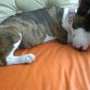 mi beba despues de su primera ducha
