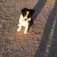 Tarde en el parque del agua, 3 meses