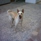 MI TESORO