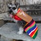 DE TSACHILA - VESTIMENTA DONADA DIRECTIVOS CENTRO "ANGELITOS TRAVIESOS" AZOGUES - ECUADOR