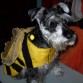 DE ABEJA MAYA