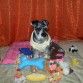 EN LA CASA CON SUS JUGUETES