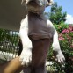 Cuando Tenia 2 meses..!